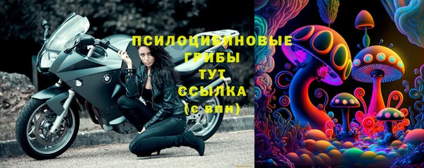 ECSTASY Кодинск
