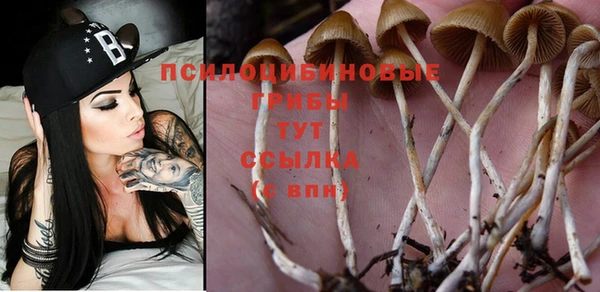 марки nbome Козельск
