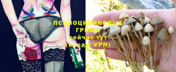 марки nbome Козельск
